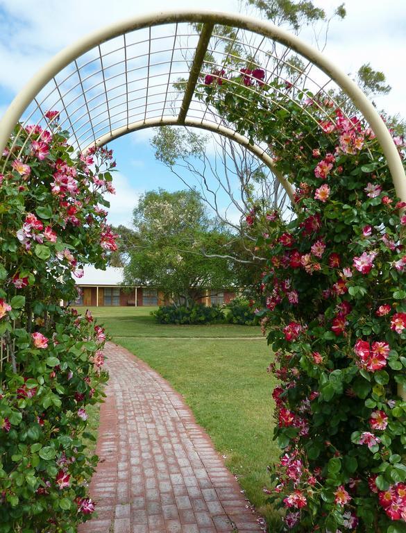Coonawarra Place Motor Inn Exteriér fotografie