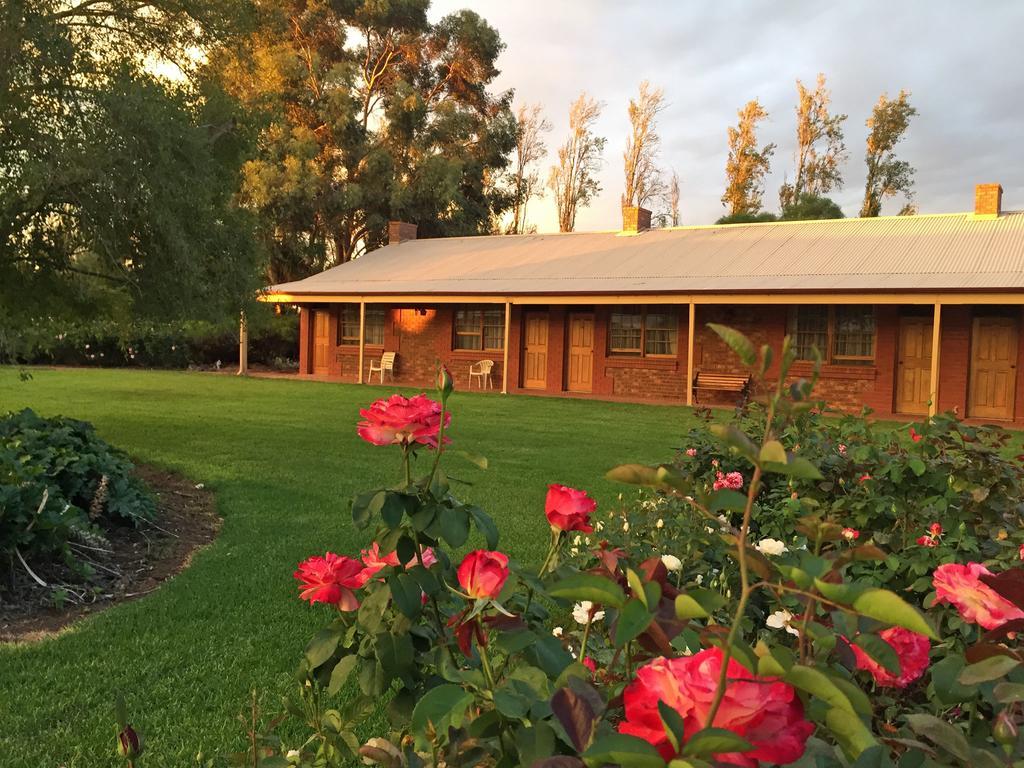 Coonawarra Place Motor Inn Exteriér fotografie