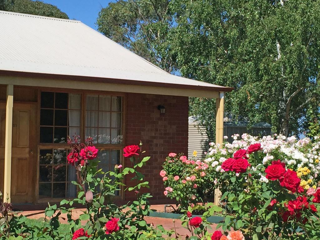 Coonawarra Place Motor Inn Exteriér fotografie