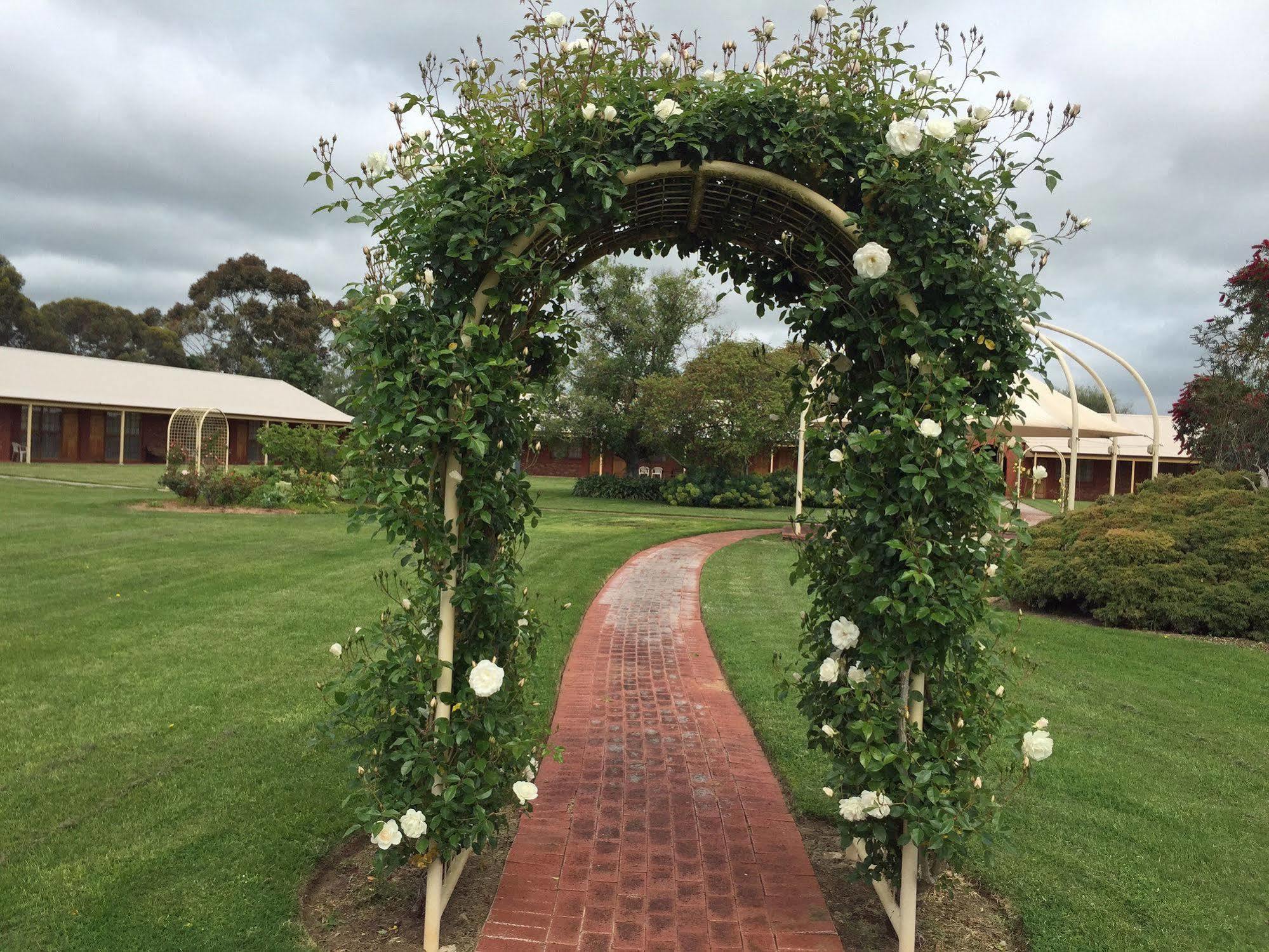 Coonawarra Place Motor Inn Exteriér fotografie
