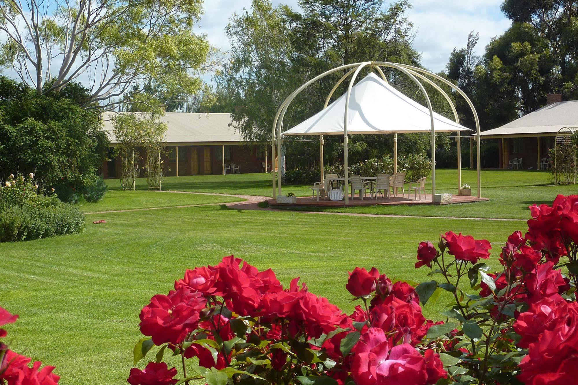 Coonawarra Place Motor Inn Exteriér fotografie