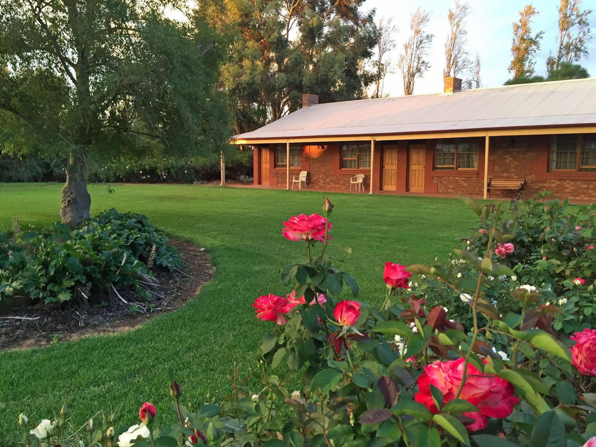 Coonawarra Place Motor Inn Exteriér fotografie