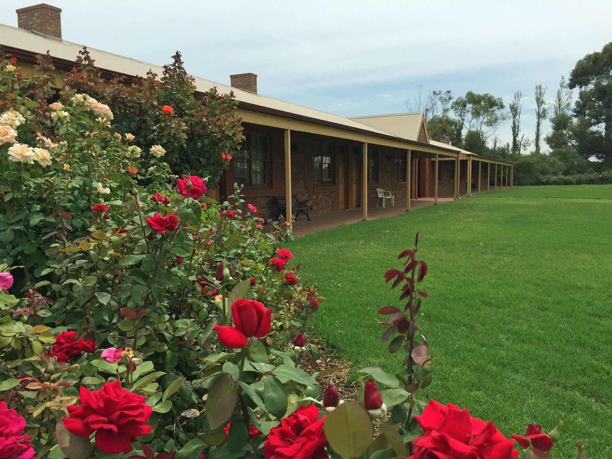 Coonawarra Place Motor Inn Exteriér fotografie