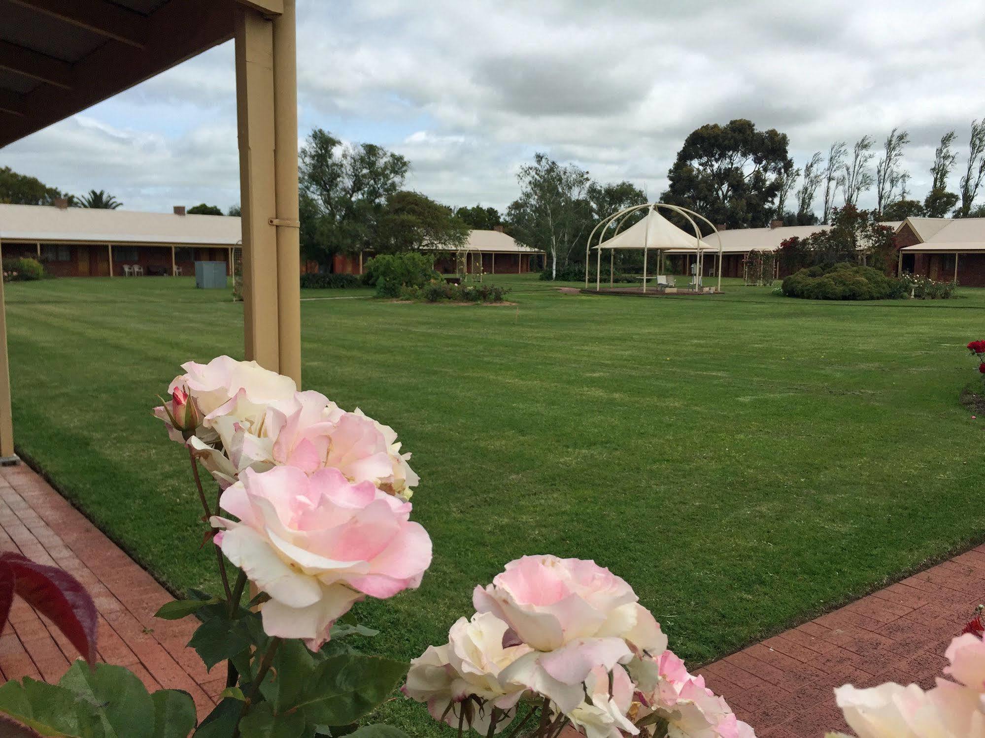 Coonawarra Place Motor Inn Exteriér fotografie